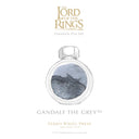 Ferris Wheel Press Lord of the Rings Bottled Ink in Gandalf the Grey - 38 mL