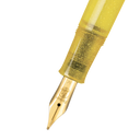 Pelikan Classic M200 Pyrite Fountain Pen