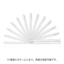 Midori Multi Ruler (30cm) Clear A
