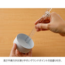 Midori Multi Ruler (30cm) Clear A