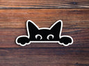 Sticker Horse - Peeking Cat Vinyl Sticker