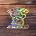 Sticker Horse - It Is What It Is Sticker