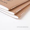 Tomoe River Notebooks A5