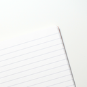 Tomoe River Notebooks A5