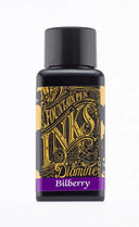Diamine Fountain Pen Ink  - Bilberry