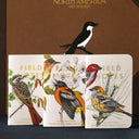 Field Notes - Birds and Trees of North America