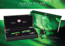 Aurora Polare Limited Edition Fountain Pen