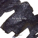 Wearingeul World Literature Ink Collection Ⅲ -  The Black Tulip