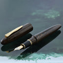 Platinum Izumo Fountain Pen - Tagayasan (Bombay Black Wood)