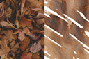 Dominant Industry November leaves - Standard Ink Bottle
