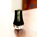 Dominant Industry Seaweed - Standard Ink Bottle
