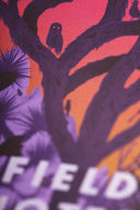 Field Notes - National Parks - Series B