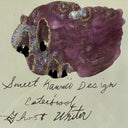 Esterbrook x Sweet Kawaii Design Pastel Halloween Purple Ink with Silver Shimmer