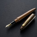 Platinum Izumo Fountain Pen - Tagayasan (Bombay Black Wood)