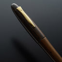 Platinum Izumo Fountain Pen - Tagayasan (Bombay Black Wood)