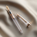 Platinum 3776 Century Fountain Pen - Nice Rose Gold Trim