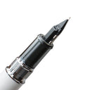 Platinum Procyon Fountain Pen - Deep Sea(Blue)