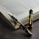Platinum #3776 Century Fountain Pen - Celluloid Calico