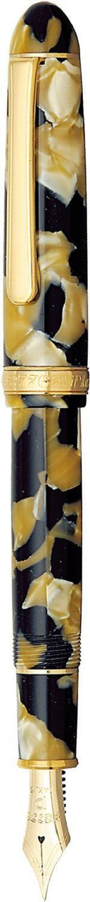 Platinum #3776 Century Fountain Pen - Celluloid Calico