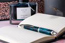 Pilot Vanishing Point SE Fountain Pen - Marble Green