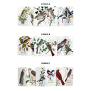 Field Notes - Birds and Trees of North America