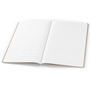 Tomoe River Notebooks A5