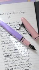 Esterbrook x Sweet Kawaii Design Pastel Halloween Pink Fountain Pen with Ghost