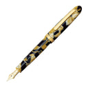 Platinum #3776 Century Fountain Pen - Celluloid Calico