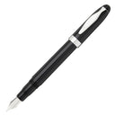 Noodler's Ahab Fountain Pen - Black