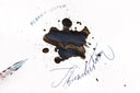 Robert Oster Thunderstorm Signature Ink