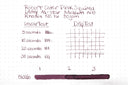 Robert Oster Pink Squirrel Signature Ink