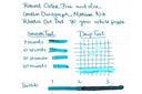 Robert Oster Fire and Ice Signature Ink