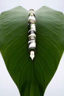 Leonardo Momento Magico Fountain Pen - Leaf/Foglia with Gold Trim