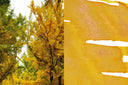 Dominant Industry October Leaves - Pearl Series Ink Bottle
