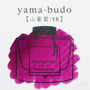 Pilot Iroshizuku Yama-budo Ink (Wild Grapes) - 6 Cartridges